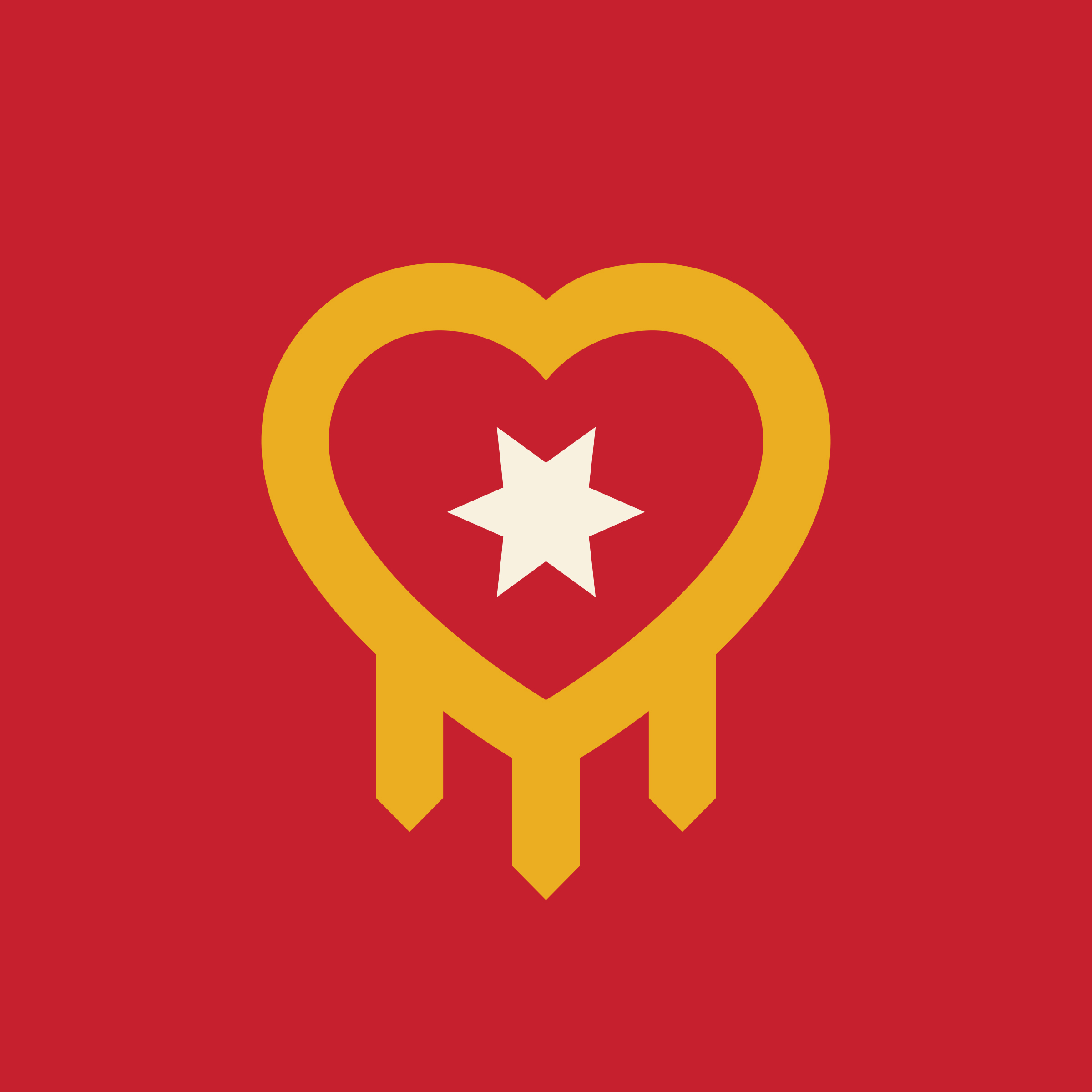 918 Day Profile Photo Heart Shield Red