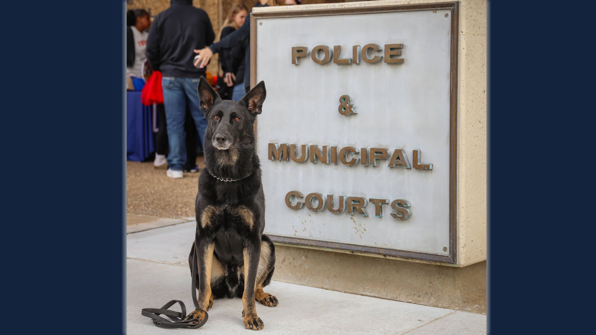 TPD-K-9.jpg
